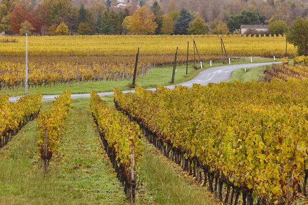 Que faire un automne à Bordeaux et en Gironde ?